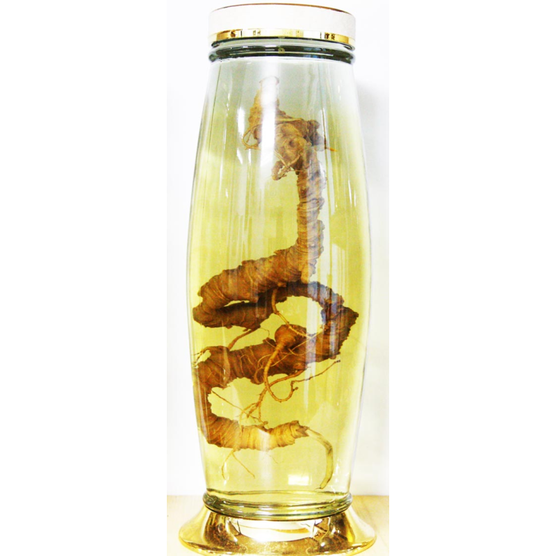 RƯỢU SÂM NGỌC LINH GINSENG