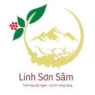 WINESTORY.VN